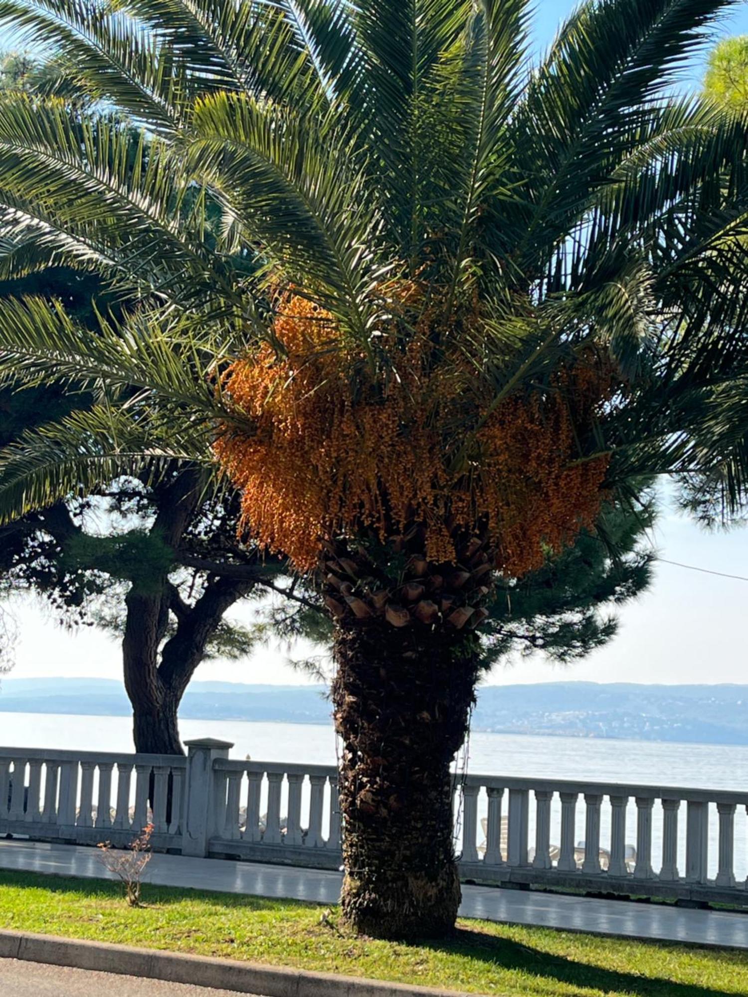 Crikvenica Right On The Beach Esterno foto